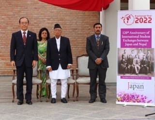 Amb rana photo