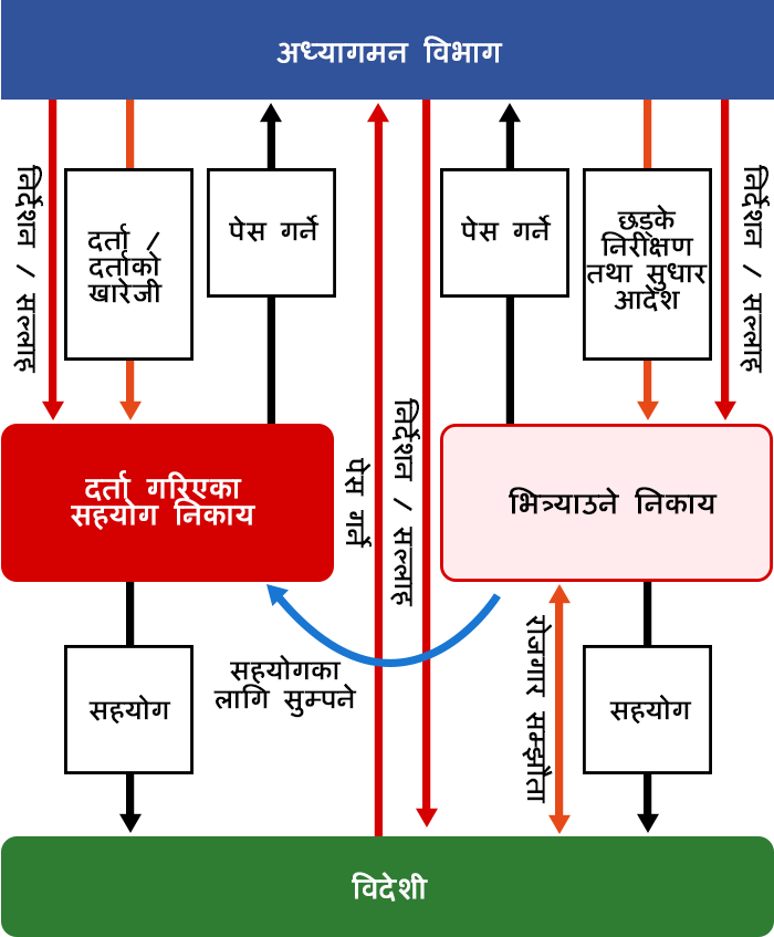 जापानको अध्यागमन ब्यूरो, दर्ता निकायहरू, श्रमिक भित्र्याउने निकाय वा कम्पनीहरू र विदेशी कामदारहरू बीचको समन्वय  निम्नानुसार हुनेछ
निर्धारित निकाय वा कम्पनीले विदेशी कामदार संग रोजगार सम्झौता गरी,  सो निकाय वा कम्पनीले रेजिष्ट्रेसन संस्थामा विदेशीकामदारको अधिकारिक  रेजिष्ट्रेसनको लागि निवेदन गर्ने जस्ता  सहयोग  गर्छ ।
जापानको अध्यागमन ब्यूरोले रेजिष्ट्रेसन एजेन्सीमा दर्ता गर्ने  वा दर्ता रद्द गर्ने कुरामा  बिदेशी कामदारलाई सहयोग गर्छ
जापानको अध्यागमन ब्यूरोले निर्धारित रोजगार निकाय वा कम्पनीलाई  कार्यक्षेत्र निरीक्षण / सुधार जस्ता   आदेशहरु  जारी गर्छ